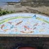 saint cado 2